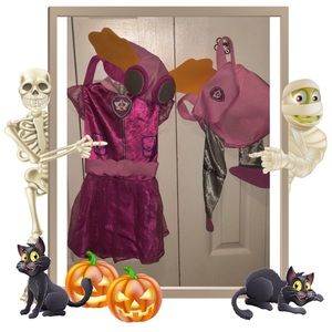 Paw Patrol Skye Costume